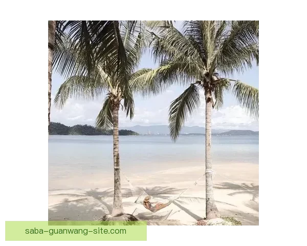 畅游沙巴官方平台，探索热带天堂独特自然与文化魅力