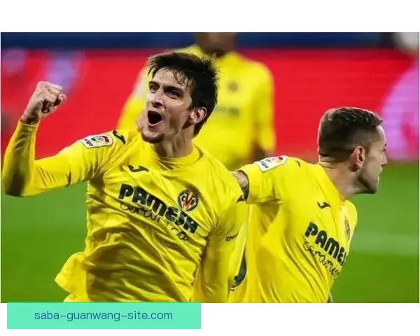 世界杯买球投注全攻略理性分析投注技巧与风险控制指南